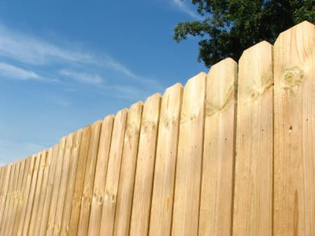 The Importance Of Professional Fence Washing