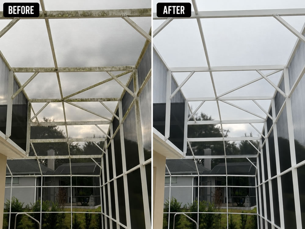 Before after screen enclosure cleaning in minneola fl