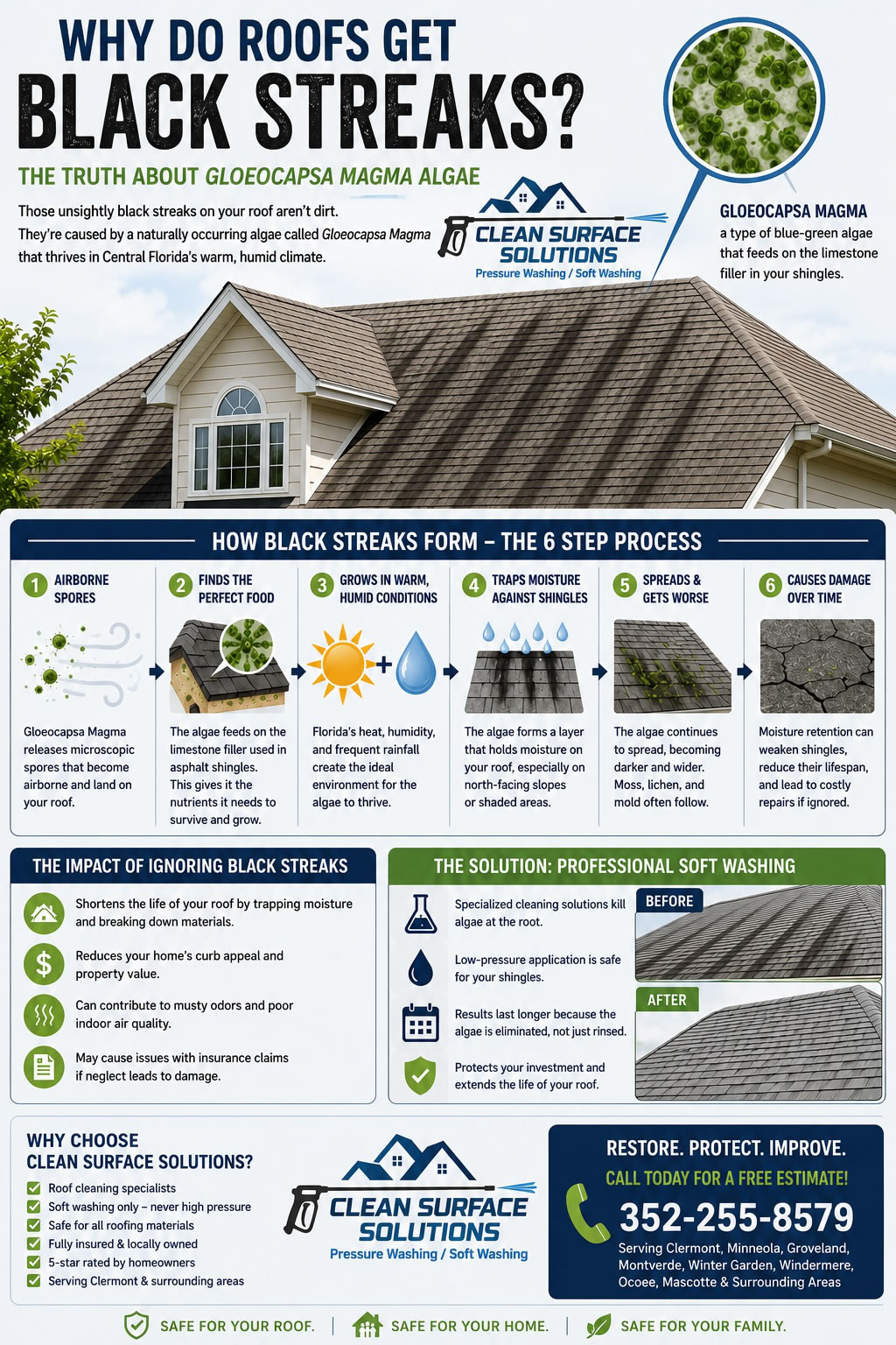 Infographic explaining why roofs develop black streaks in Minneola FL
