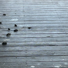 Boat-Cover-Dock-Cleaning-in-Clermont-FL-What-Happens-When-You-Leave-It-Too-Long 1