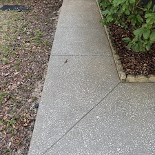 Concrete-Cleaning-in-Minneola-FL-See-What-Was-Hiding-Underneath 8
