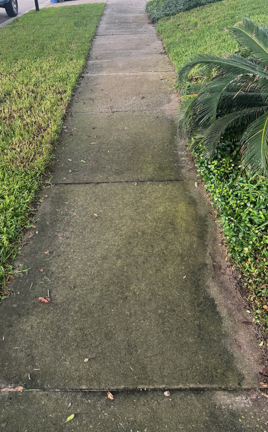 Driveway, Sidewalk & Walkway Cleaning in Minneola, FL