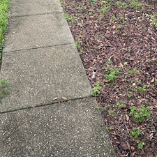 Driveway-Sidewalk-Walkway-Cleaning-in-Minneola-FL 4