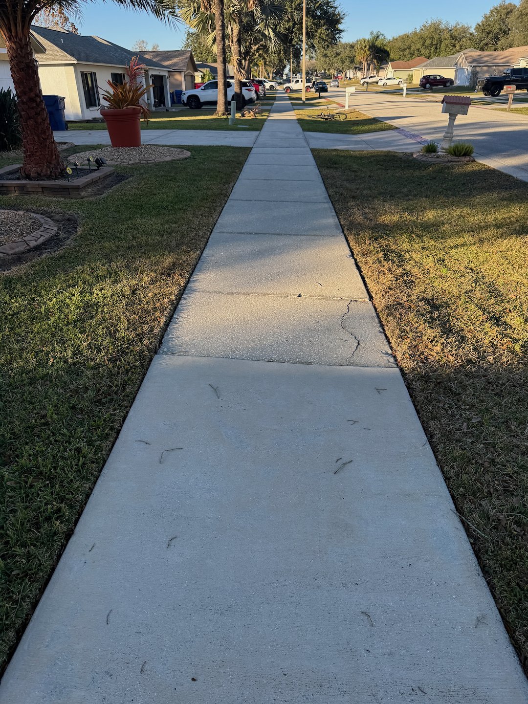 Professional Concrete Cleaning in Minneola, FL