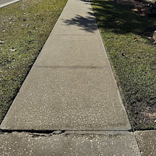 Professional-Concrete-Cleaning-in-Minneola-FL 2