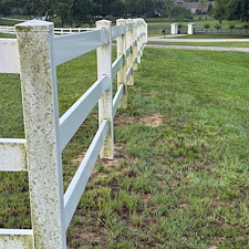Vinyl-Fence-Cleaning-in-Montverde-FL-Algae-Mildew-Lichen-Removal 4