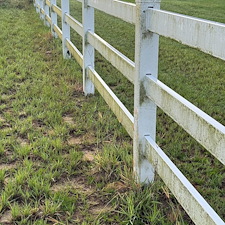 Vinyl-Fence-Cleaning-in-Montverde-FL-Algae-Mildew-Lichen-Removal 6